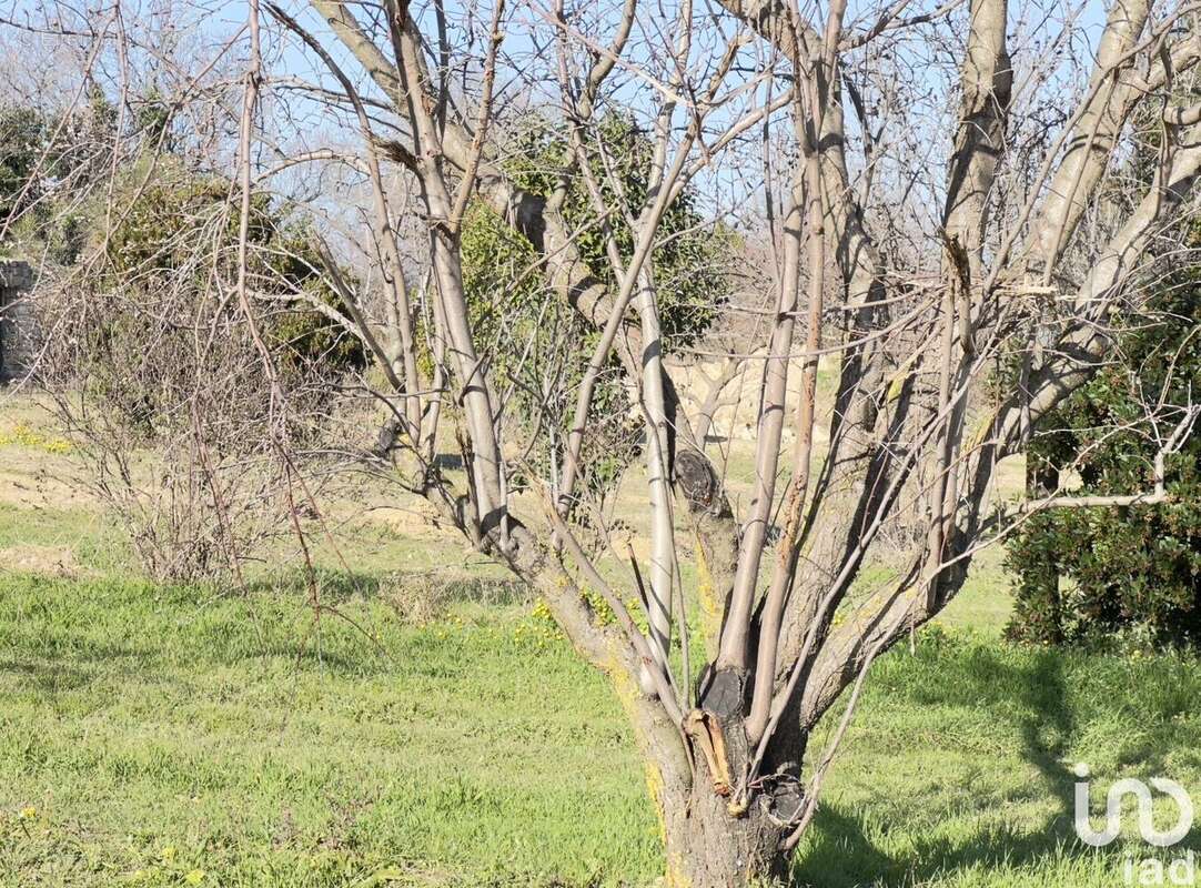 Photo 7 - Terrain à SAINT-ALEXANDRE