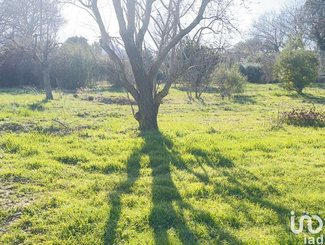 Photo 9 - Terrain à SAINT-ALEXANDRE