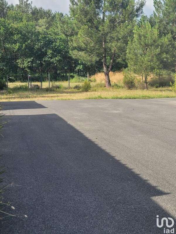 Photo 4 - Commerce à MORCENX