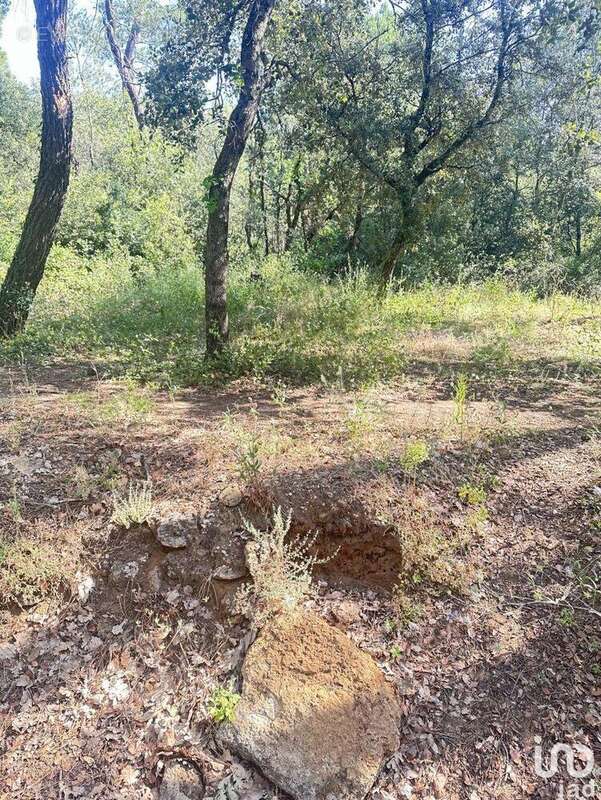 Photo 2 - Terrain à SUZE-LA-ROUSSE