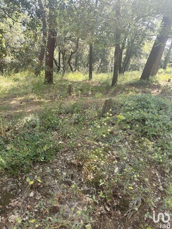 Photo 3 - Terrain à SUZE-LA-ROUSSE