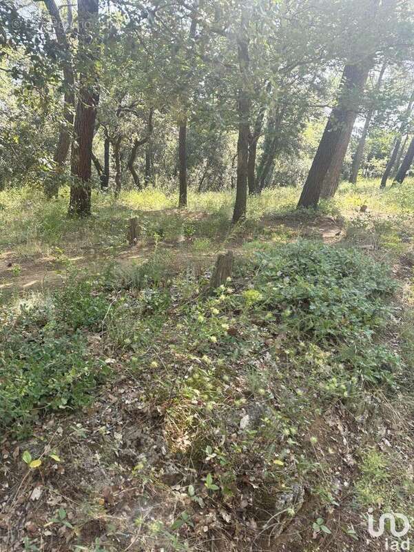 Photo 4 - Terrain à SUZE-LA-ROUSSE