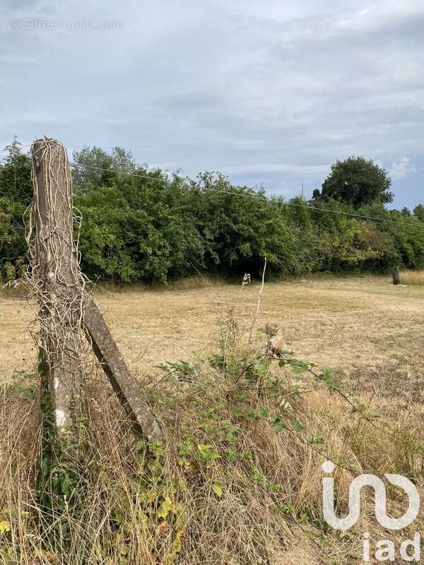 Photo 4 - Terrain à TAUPONT