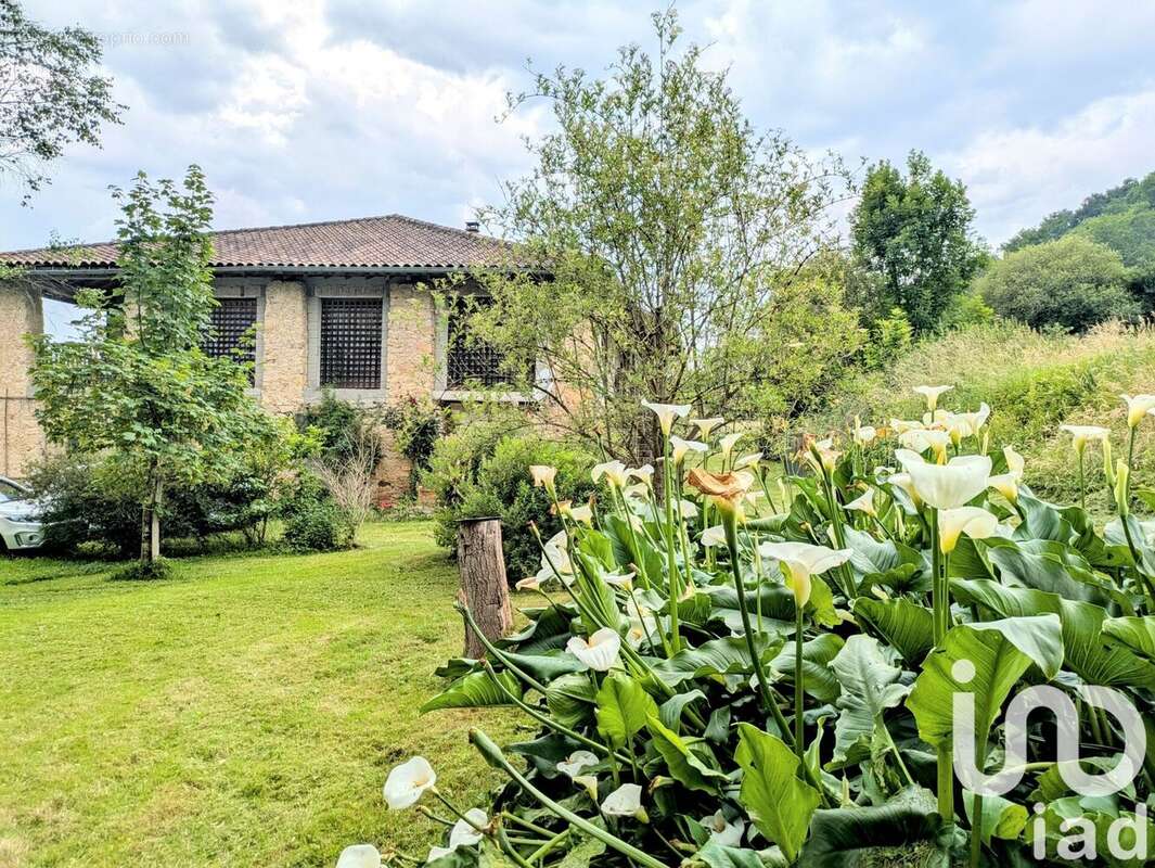 Photo 4 - Maison à LA BASTIDE-DE-SEROU