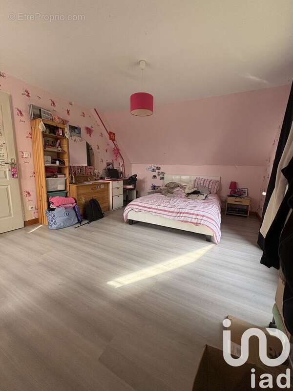 Photo 4 - Maison à CHATEAUNEUF-SUR-CHER