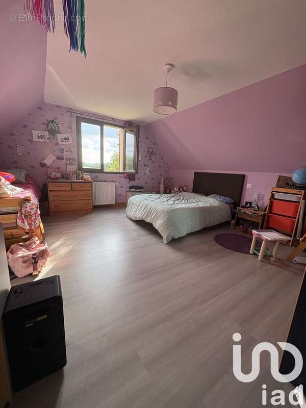 Photo 5 - Maison à CHATEAUNEUF-SUR-CHER