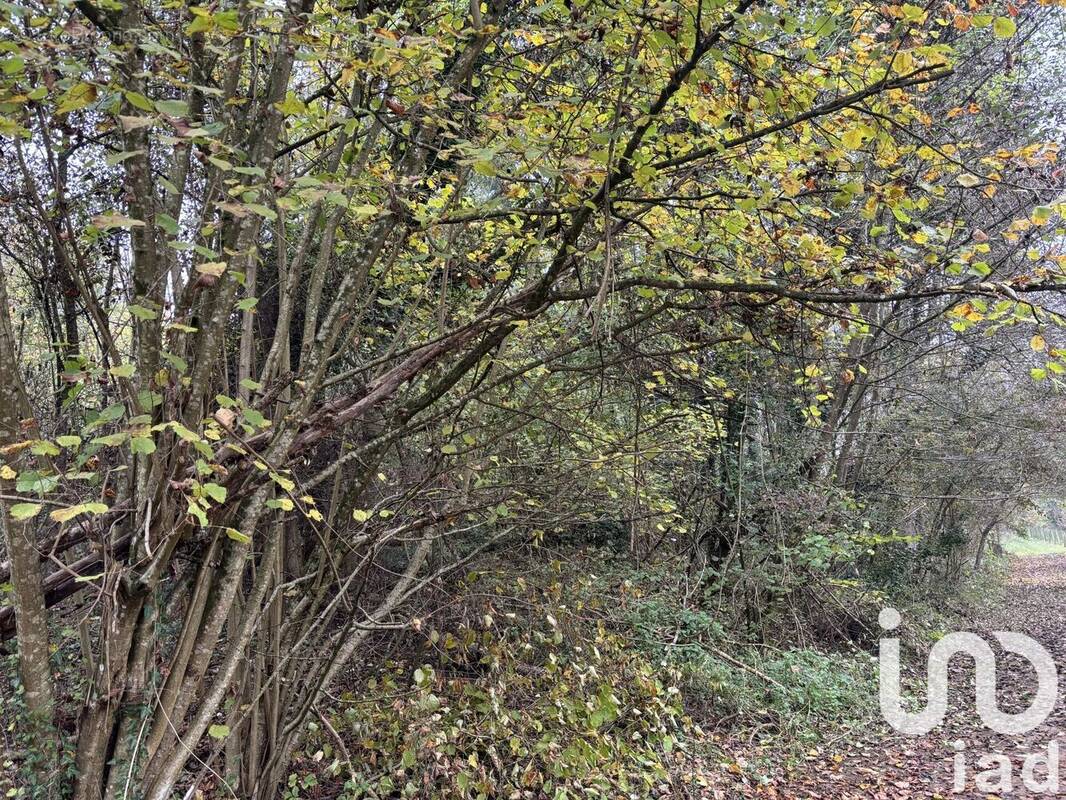 Photo 1 - Terrain à LORRY-LES-METZ