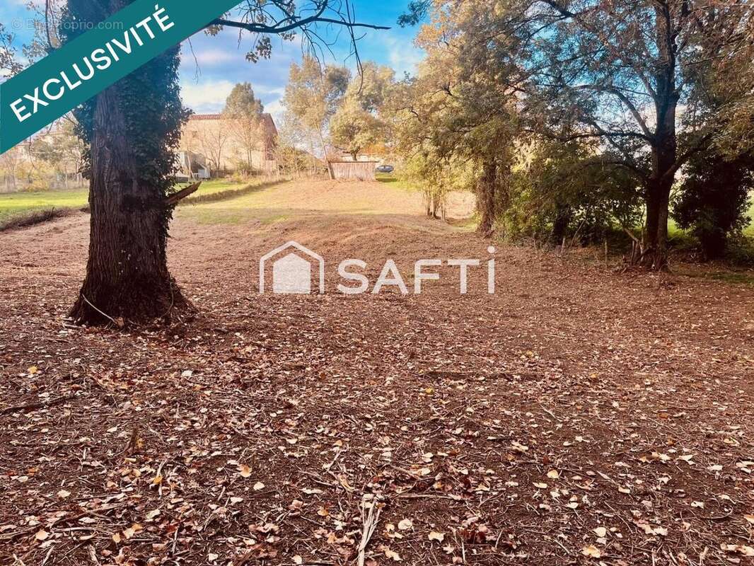 Photo 2 - Terrain à CASTRES