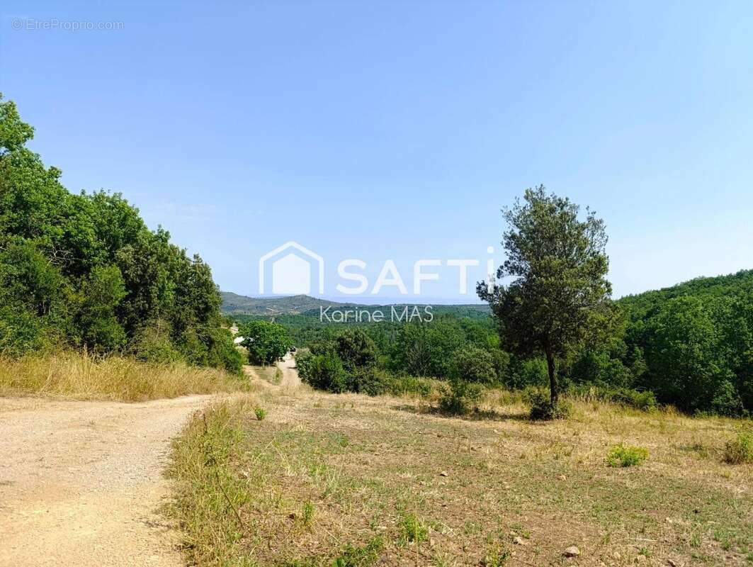 Photo 3 - Maison à FELINES-TERMENES