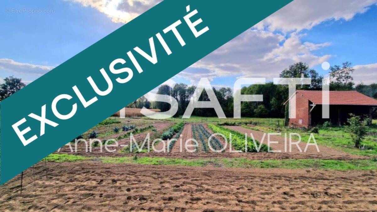 Photo 1 - Terrain à CAUMONT