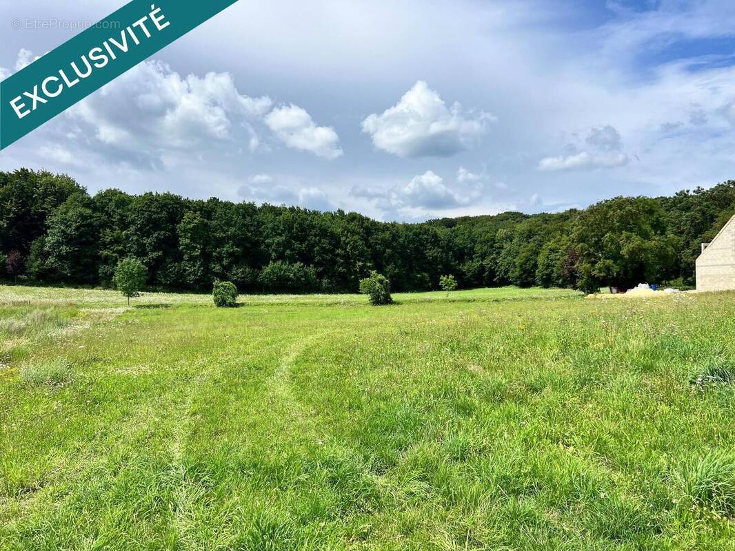 Photo 1 - Terrain à VILLERS-COTTERETS