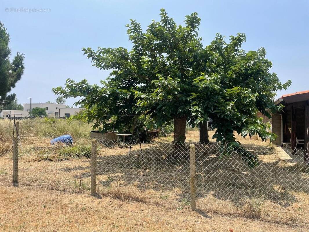 Photo 1 - Terrain à SERIGNAN