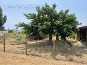 Photo 1 - Terrain à SERIGNAN