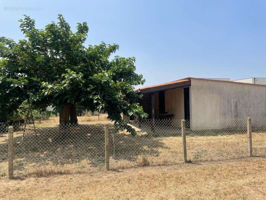 Photo 3 - Terrain à SERIGNAN