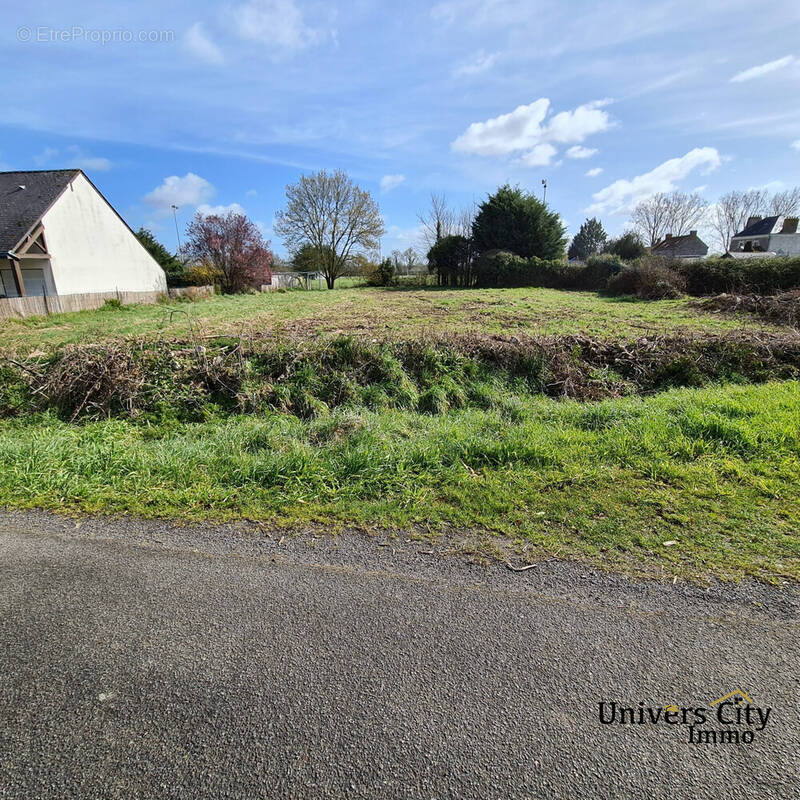 Terrain à LAVAU-SUR-LOIRE