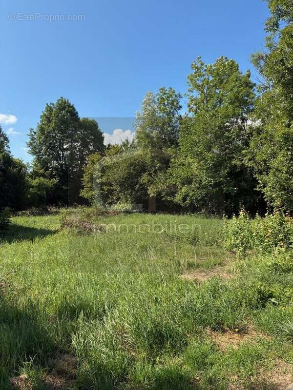 Maison à ALLONZIER-LA-CAILLE