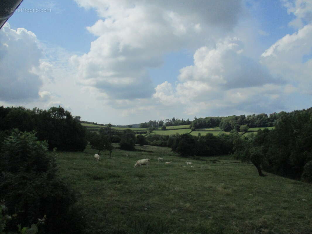 Maison à SAINT-LEGER-DE-FOUGERET