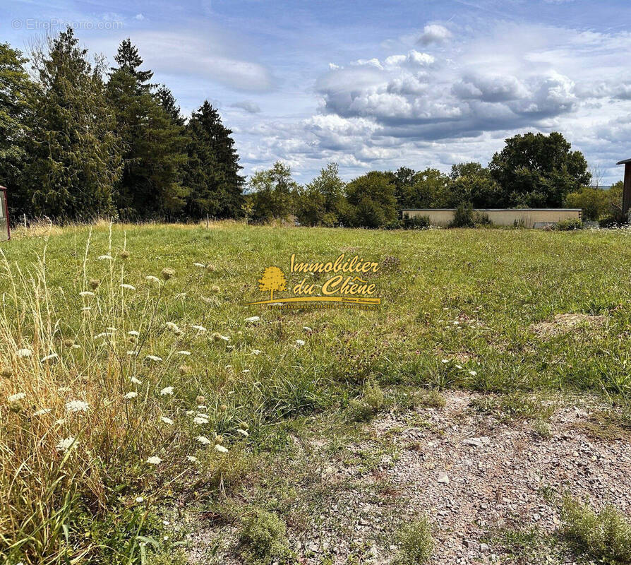 Terrain à ABELCOURT