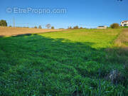Terrain à SAINT-GIRONS