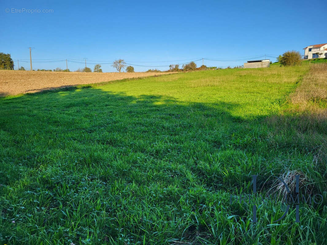Terrain à SAINT-GIRONS