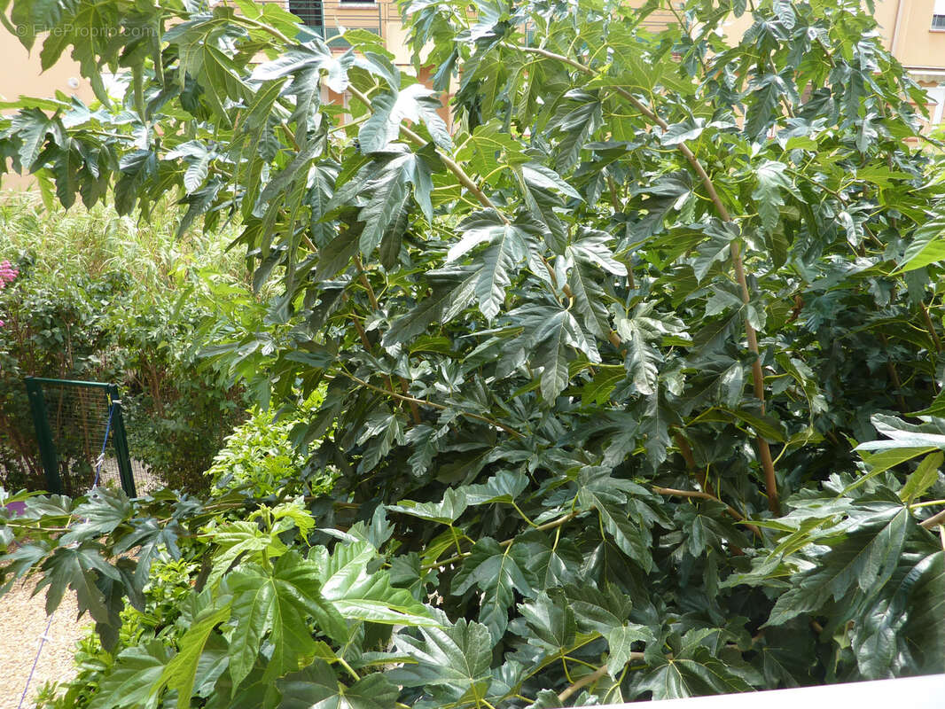 Appartement à VALRAS-PLAGE