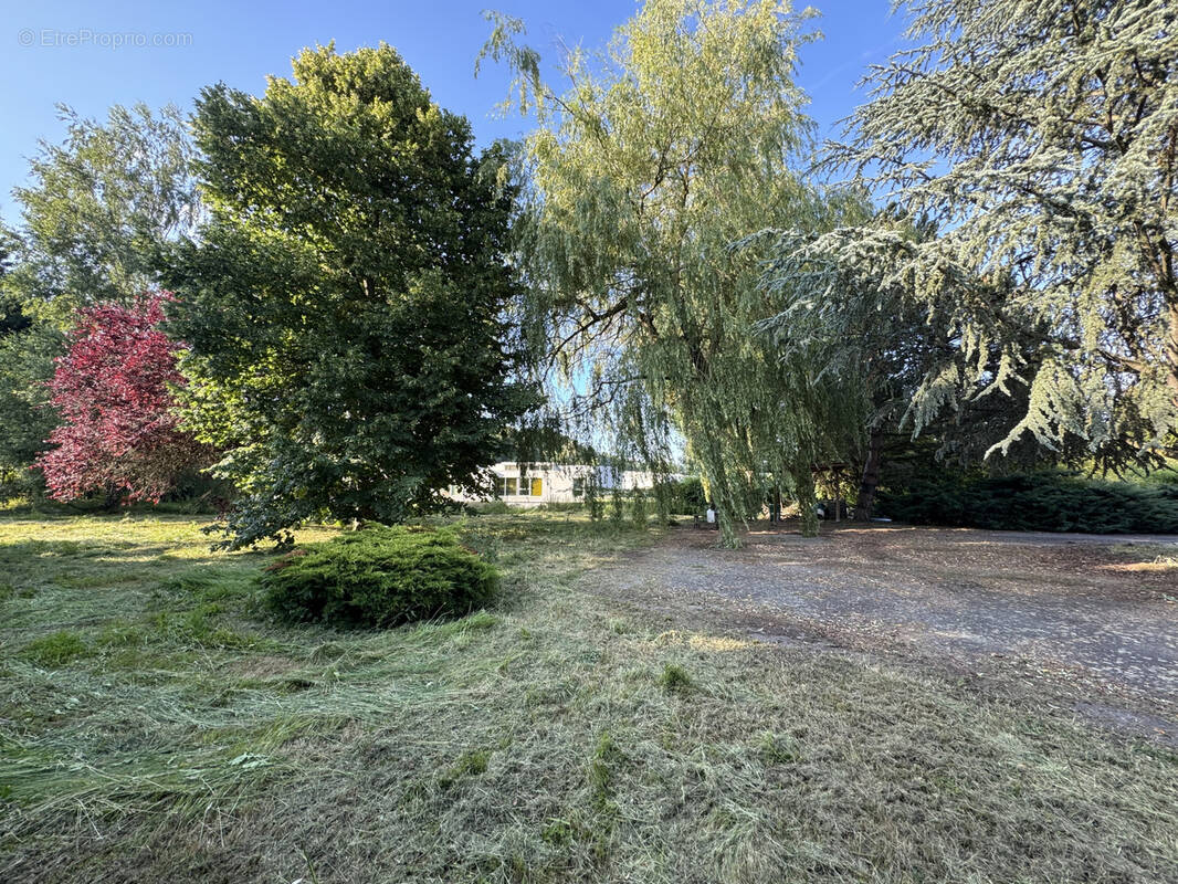 Terrain à SAINT-ETIENNE