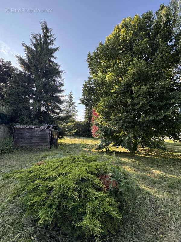 Terrain à SAINT-ETIENNE