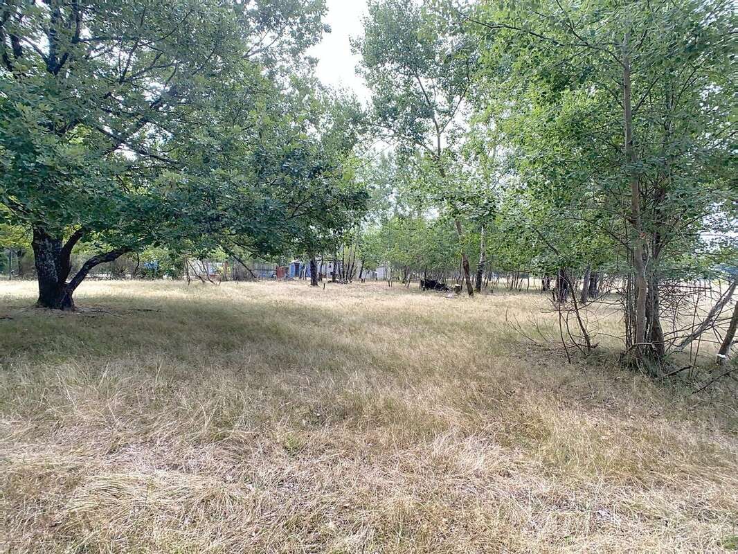 Maison à LISLE-SUR-TARN