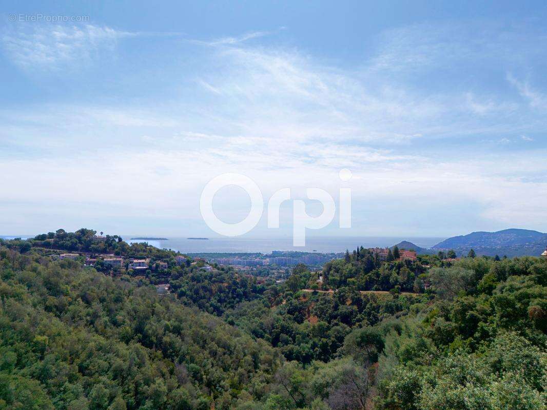 Maison à MANDELIEU-LA-NAPOULE