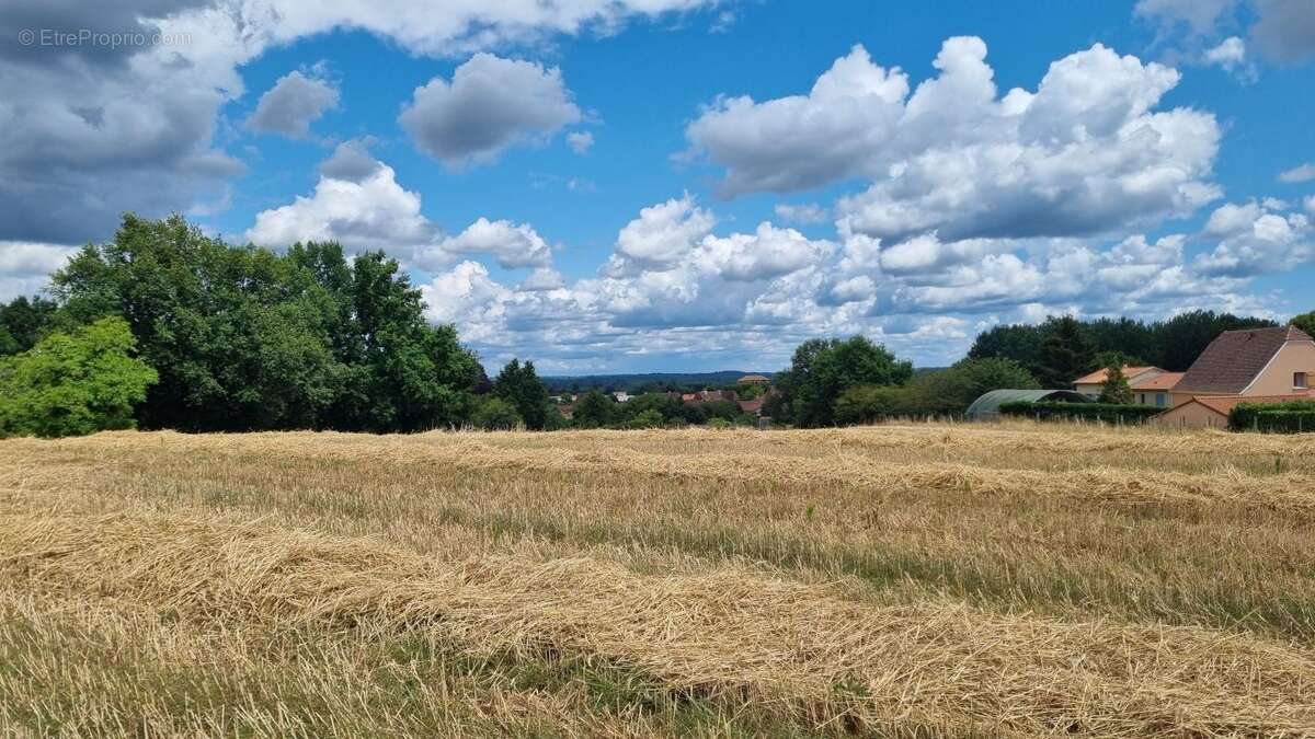 Terrain à SAINTE-ALVERE