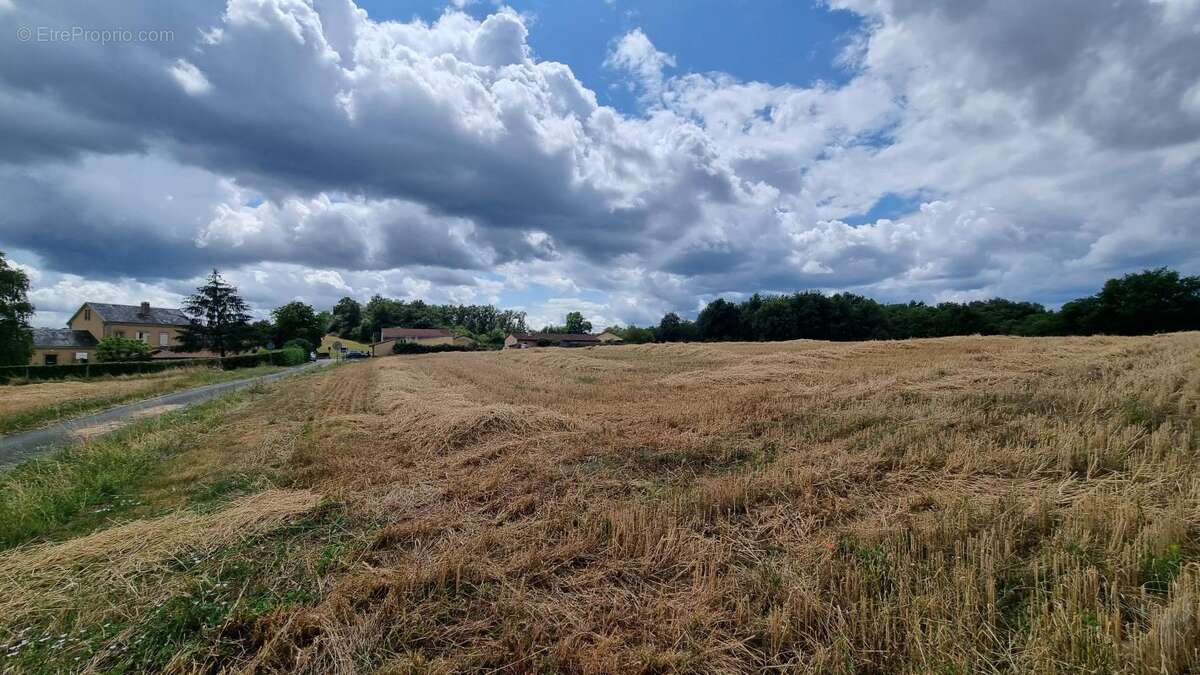 Terrain à SAINTE-ALVERE