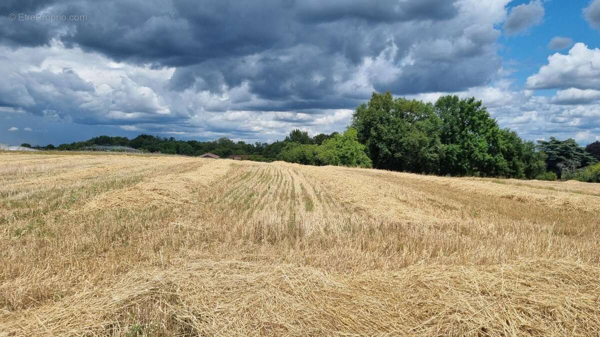 Terrain à SAINTE-ALVERE