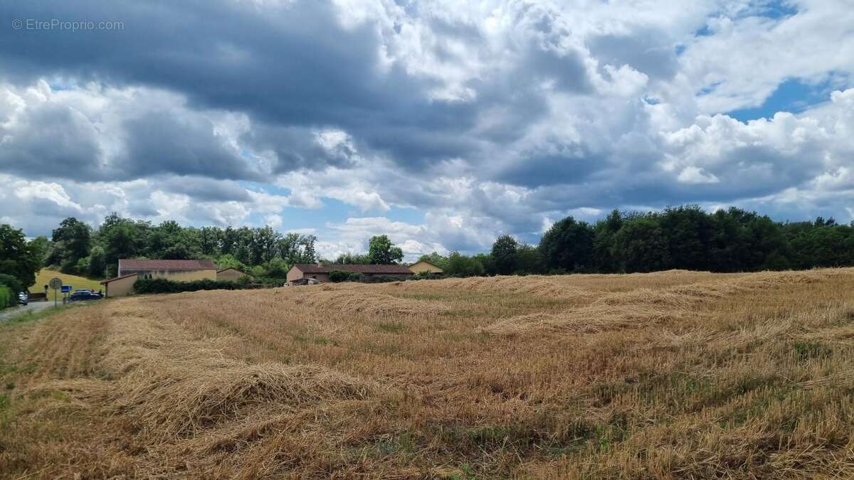 Terrain à SAINTE-ALVERE