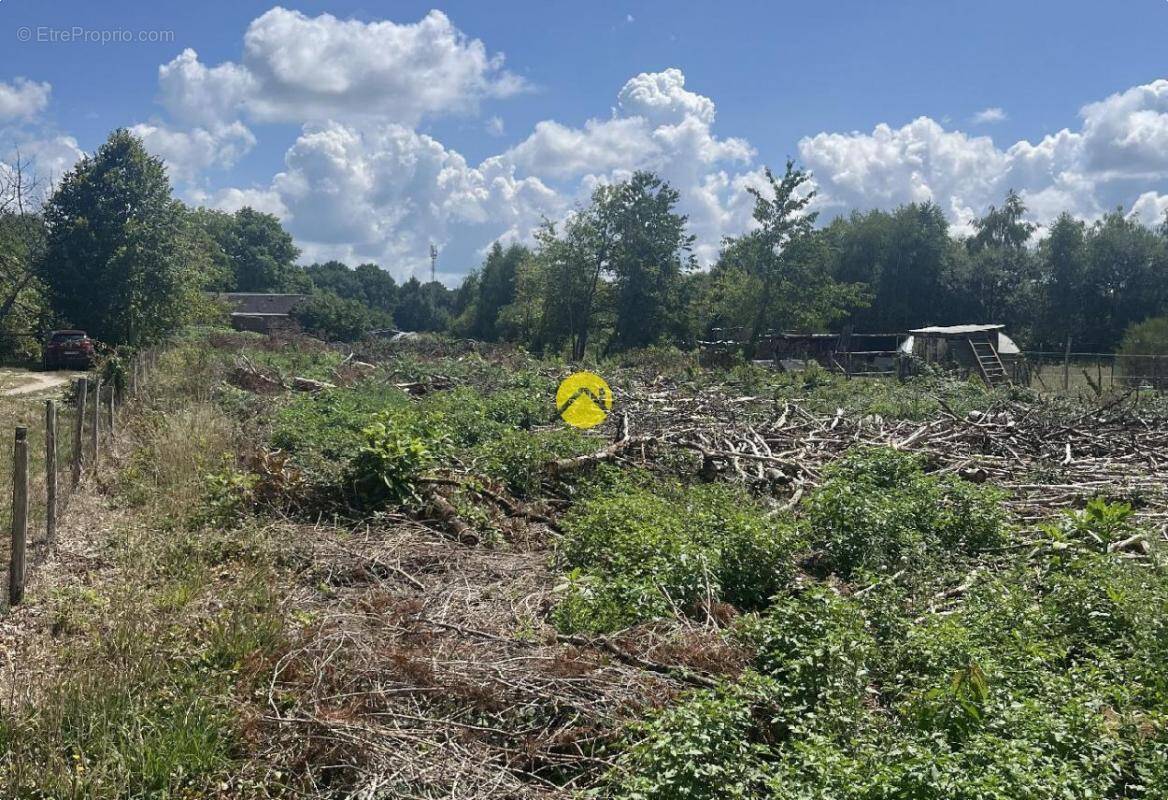 Terrain à LAMOTTE-BEUVRON