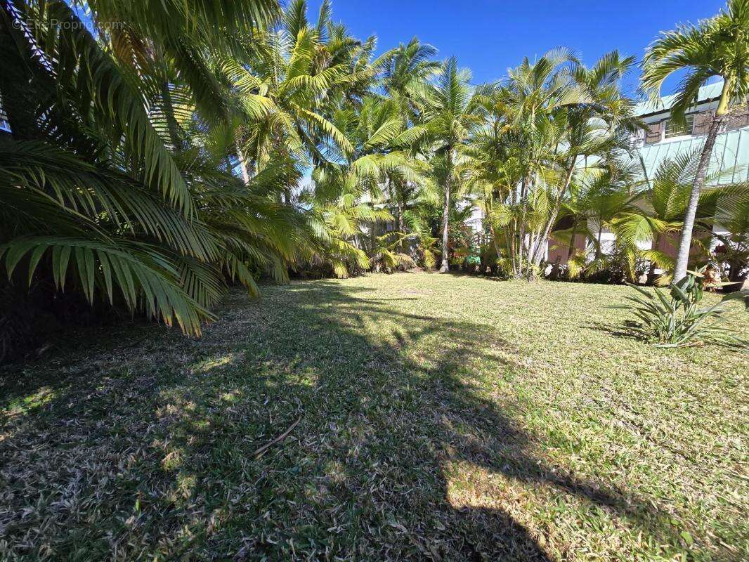 Terrain à SAINT-PIERRE