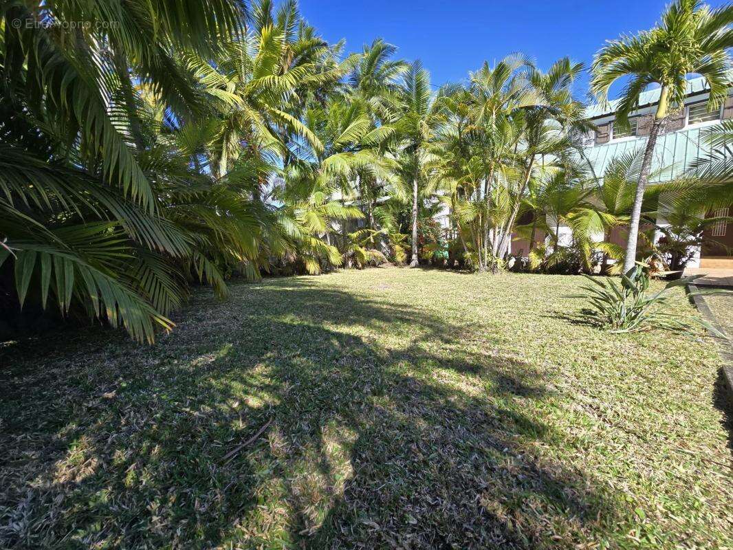 Terrain à SAINT-PIERRE