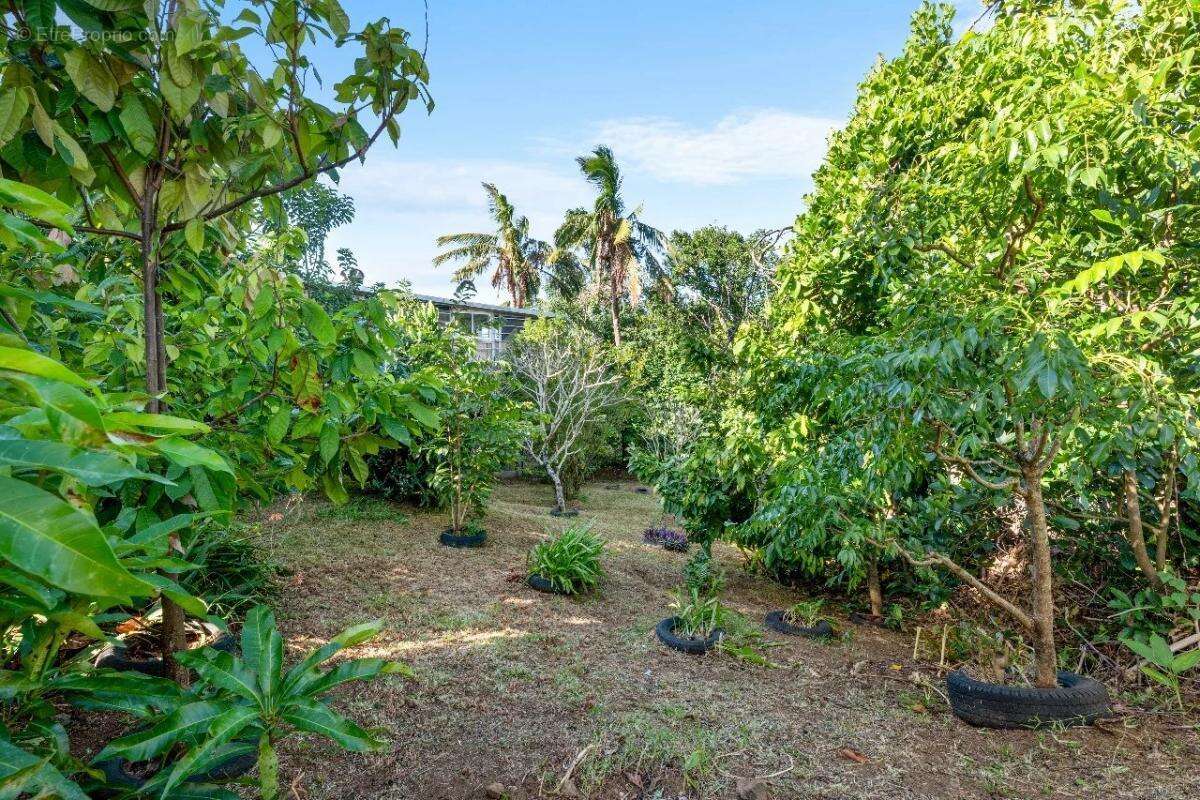 Maison à SAINTE-SUZANNE