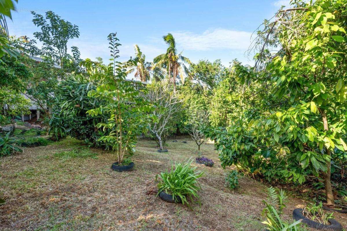 Maison à SAINTE-SUZANNE