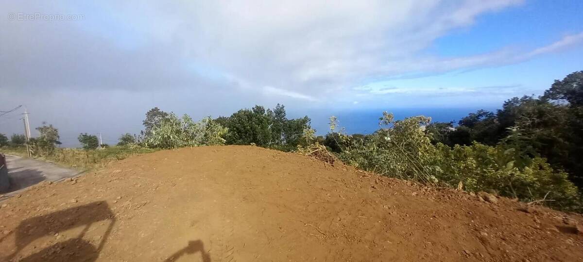 Terrain à SAINT-LEU