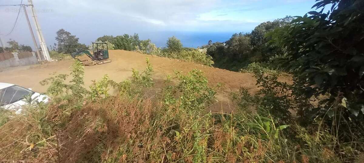 Terrain à SAINT-LEU