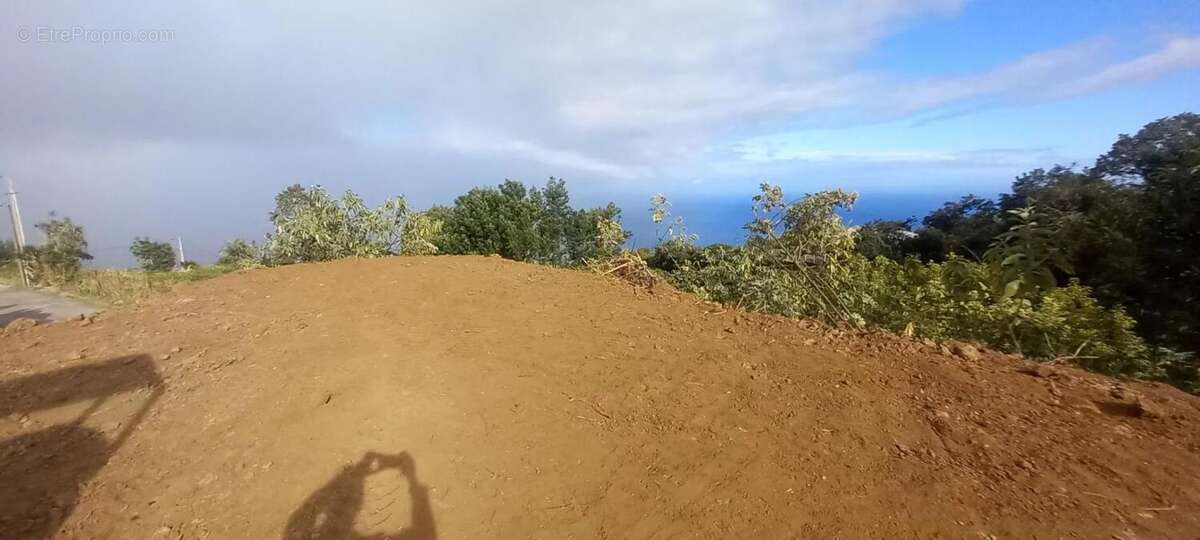 Terrain à SAINT-LEU