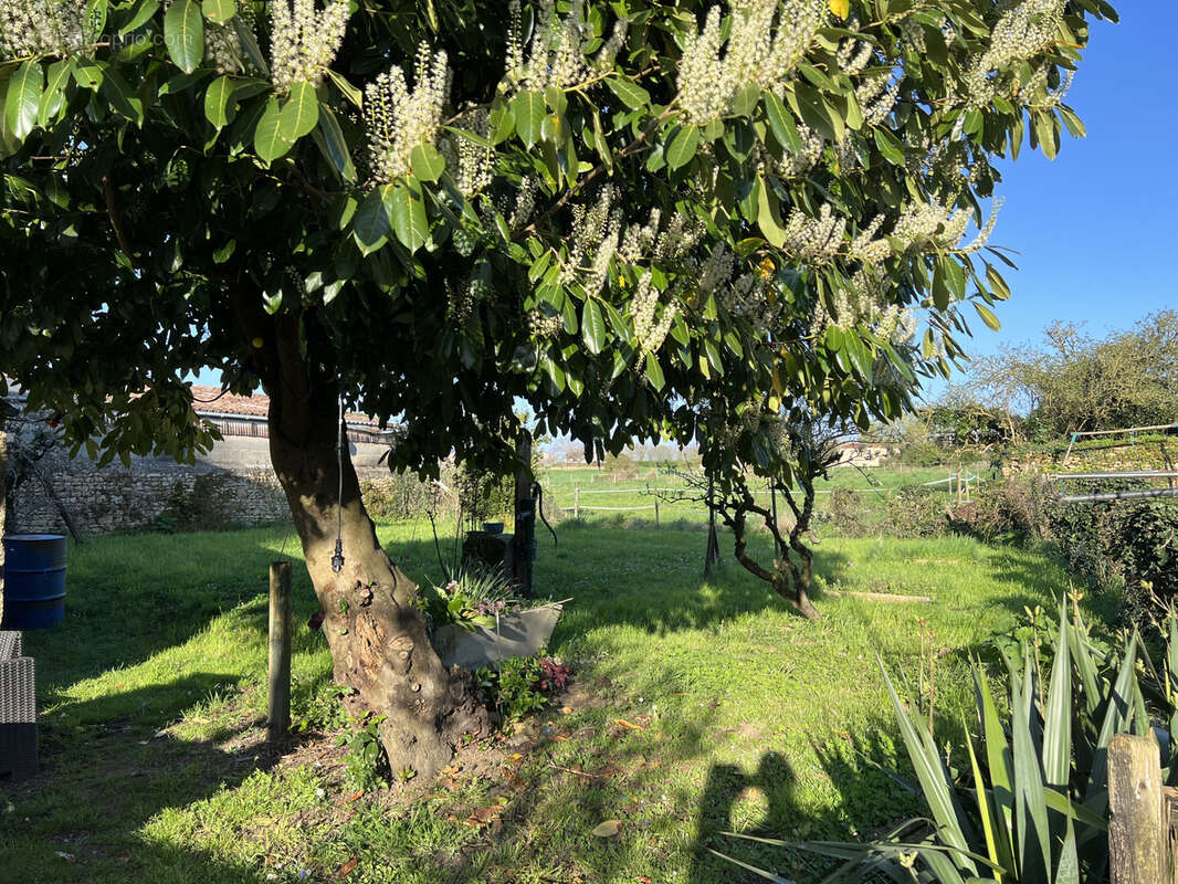 Maison à SAINTE-HERMINE