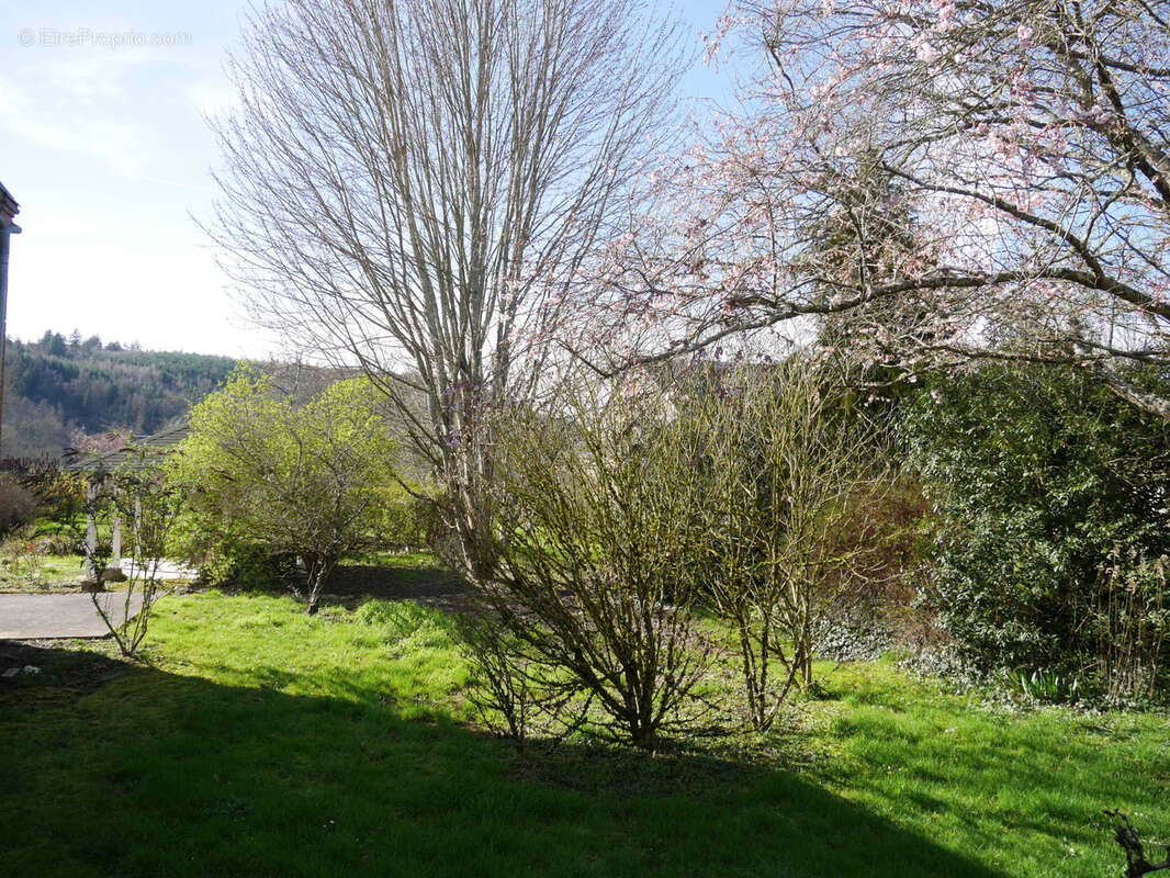 Maison à MONTREUILLON