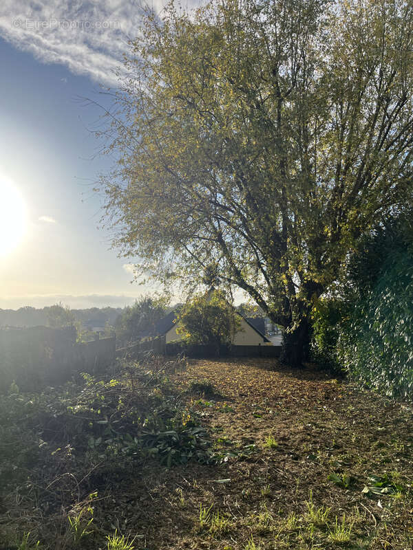 Maison à LE TRONCHET