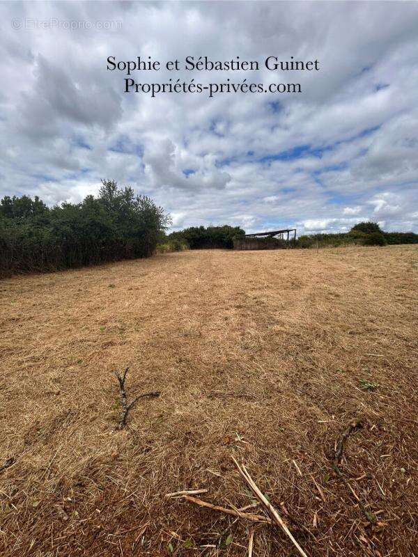 Maison à SAINT-JUIRE-CHAMPGILLON