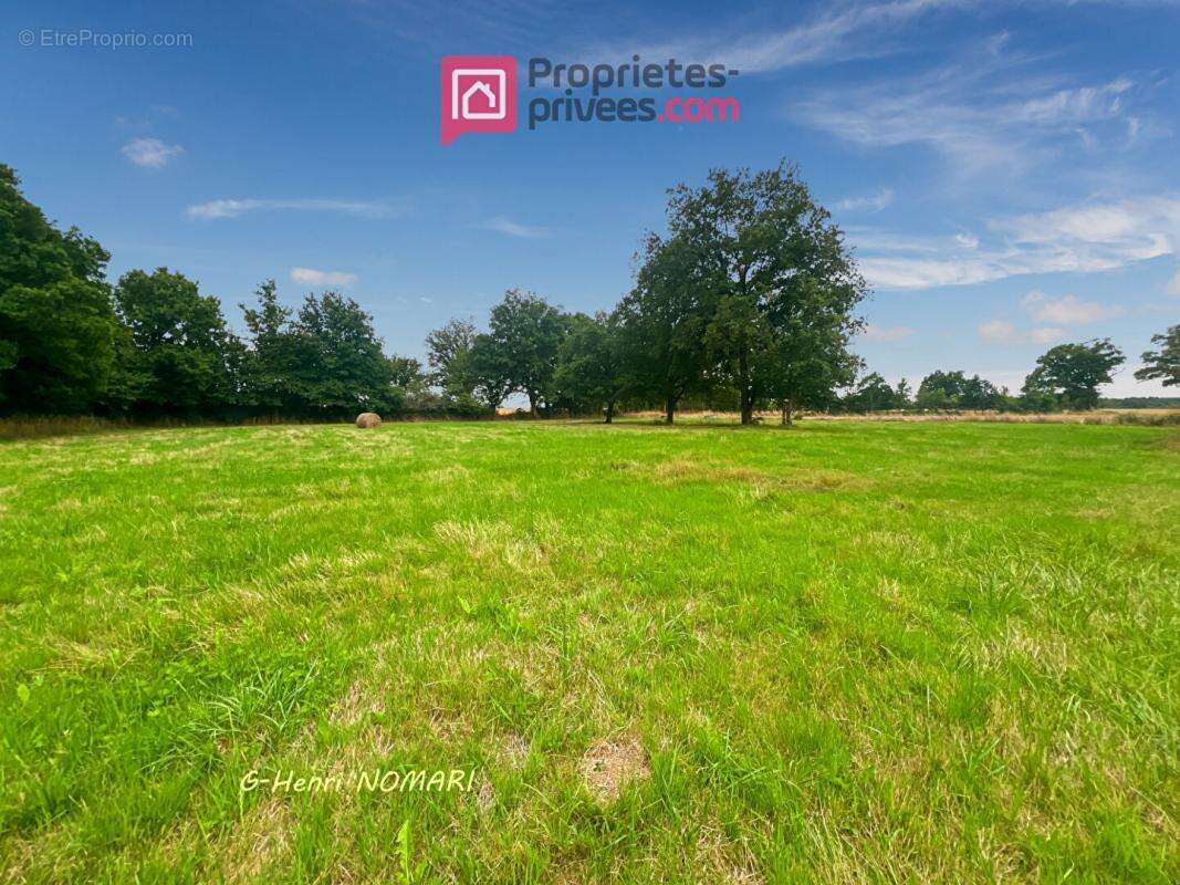 Maison à SAINT-AUBIN-DES-CHATEAUX