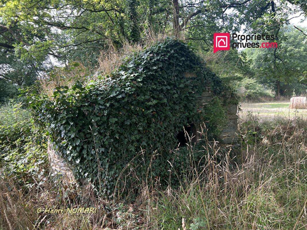 Maison à SAINT-AUBIN-DES-CHATEAUX