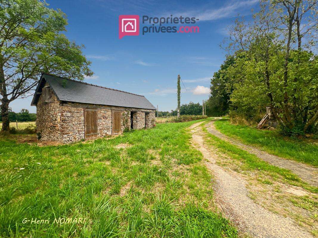 Maison à SAINT-AUBIN-DES-CHATEAUX