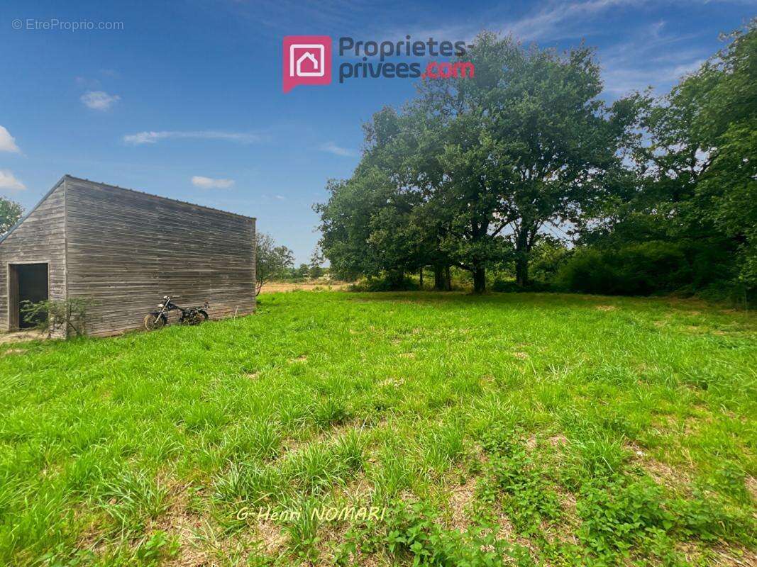 Maison à SAINT-AUBIN-DES-CHATEAUX
