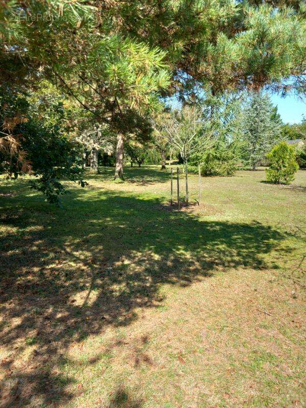 Maison à CHATEAUROUX